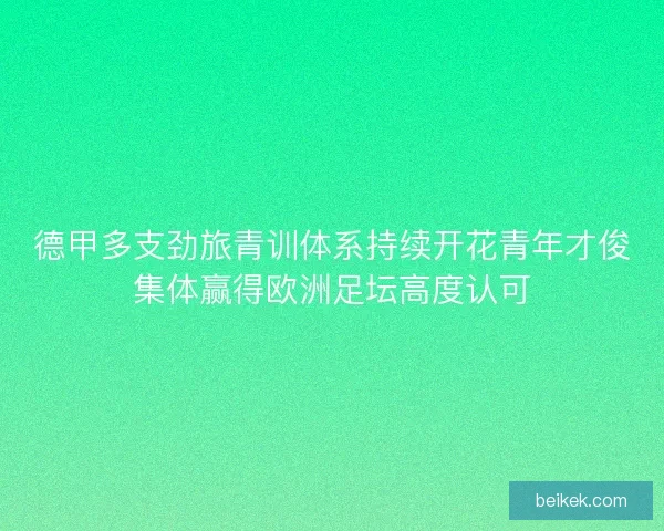 德甲多支劲旅青训体系持续开花青年才俊集体赢得欧洲足坛高度认可